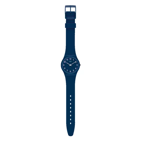 GN2521B SWATCH Blueway unisex ručni sat / PROVERA SLIKE sa promenadom i GN251B sa sapcem