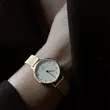 DW00100348 DANIEL WELLINGTON Petite Evergold ženski ručni sat