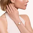 DW00100745 DANIEL WELLINGTON Petite Mini Evergold ženski ručni sat